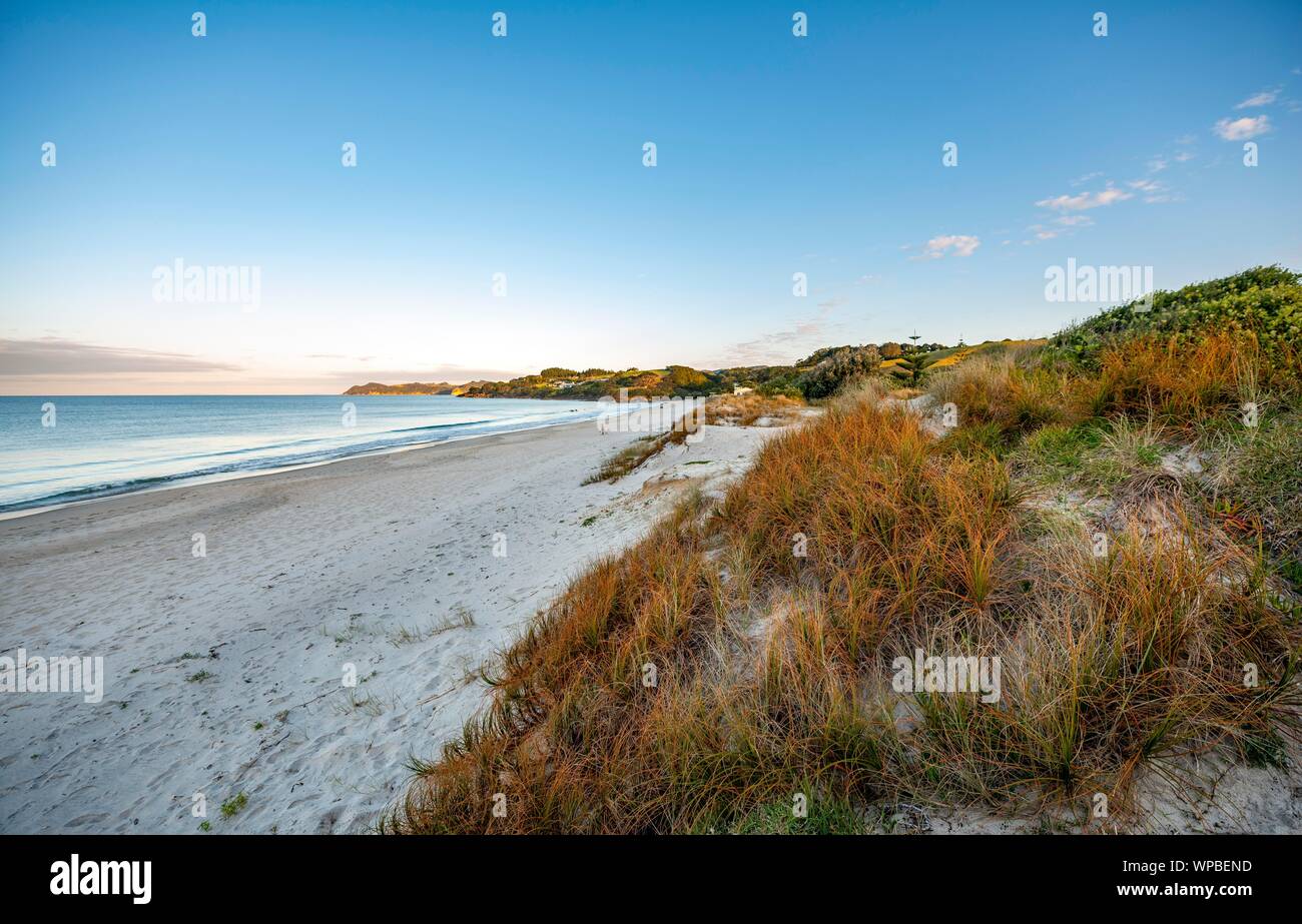 Waipu cove hi-res stock photography and images - Alamy