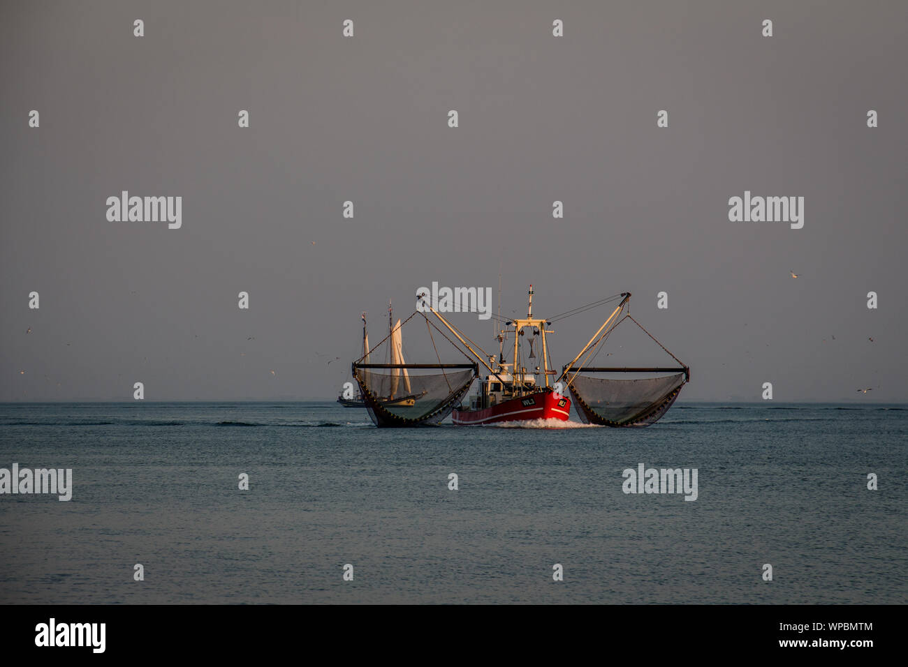 Shrimp trawler fishing in sunset hi-res stock photography and images ...