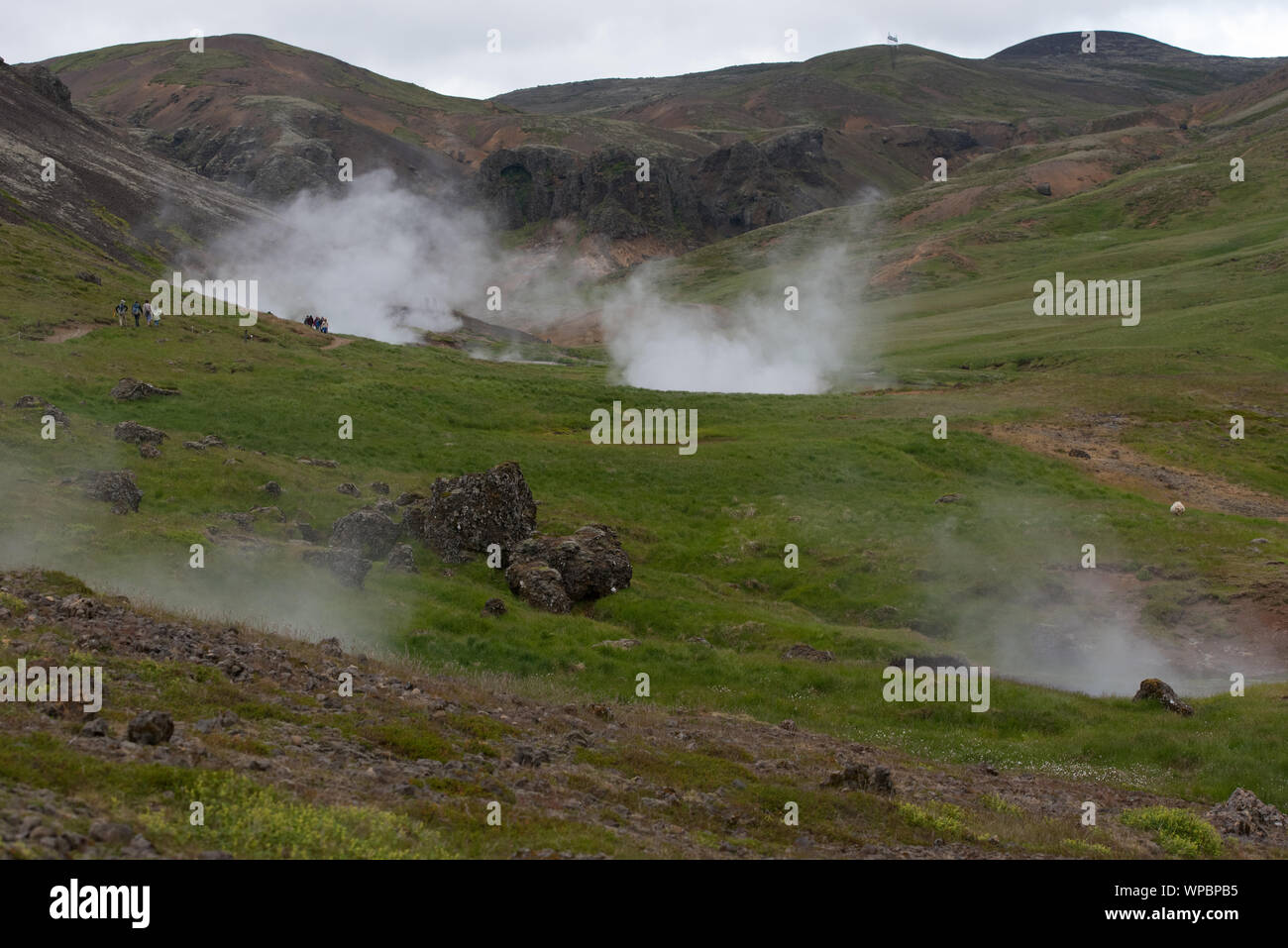 hot steam source in Iceland Stock Photo