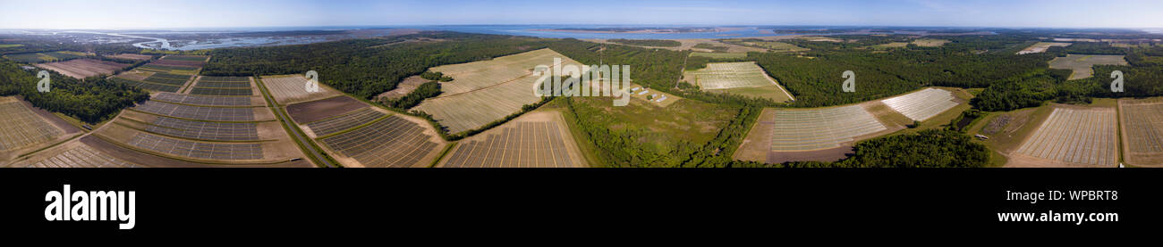 St helena island hi-res stock photography and images - Alamy