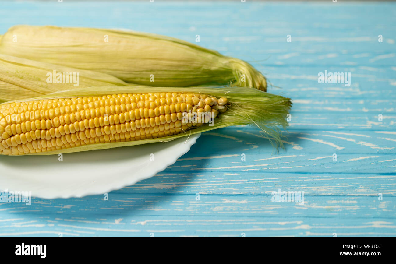 Corn cob with green leaves lies on white ceramic plate blue color ...