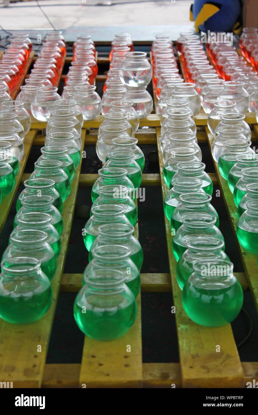 Ping pong Ball and Fish Bowl carnival game Stock Photo Alamy