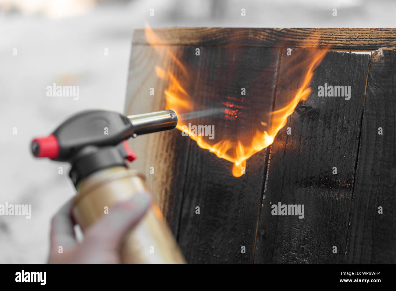 Professional carpenter using old traditional japanese technique