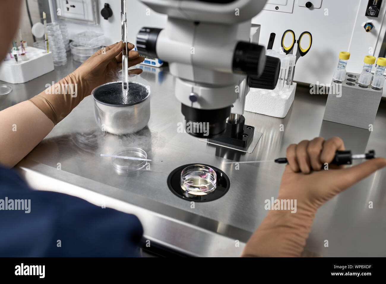 Worker in brown latex gloves takes material from the cryogenic storage during the in vitro fertilization process in the IVF lab. Closeup. Horizontal. Stock Photo