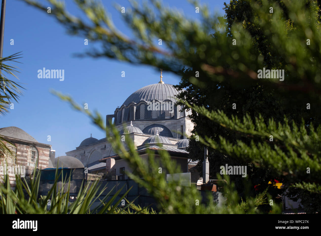 Close shot of Suleymaniye Mosque. The tree was pulled through the branches. Stock Photo