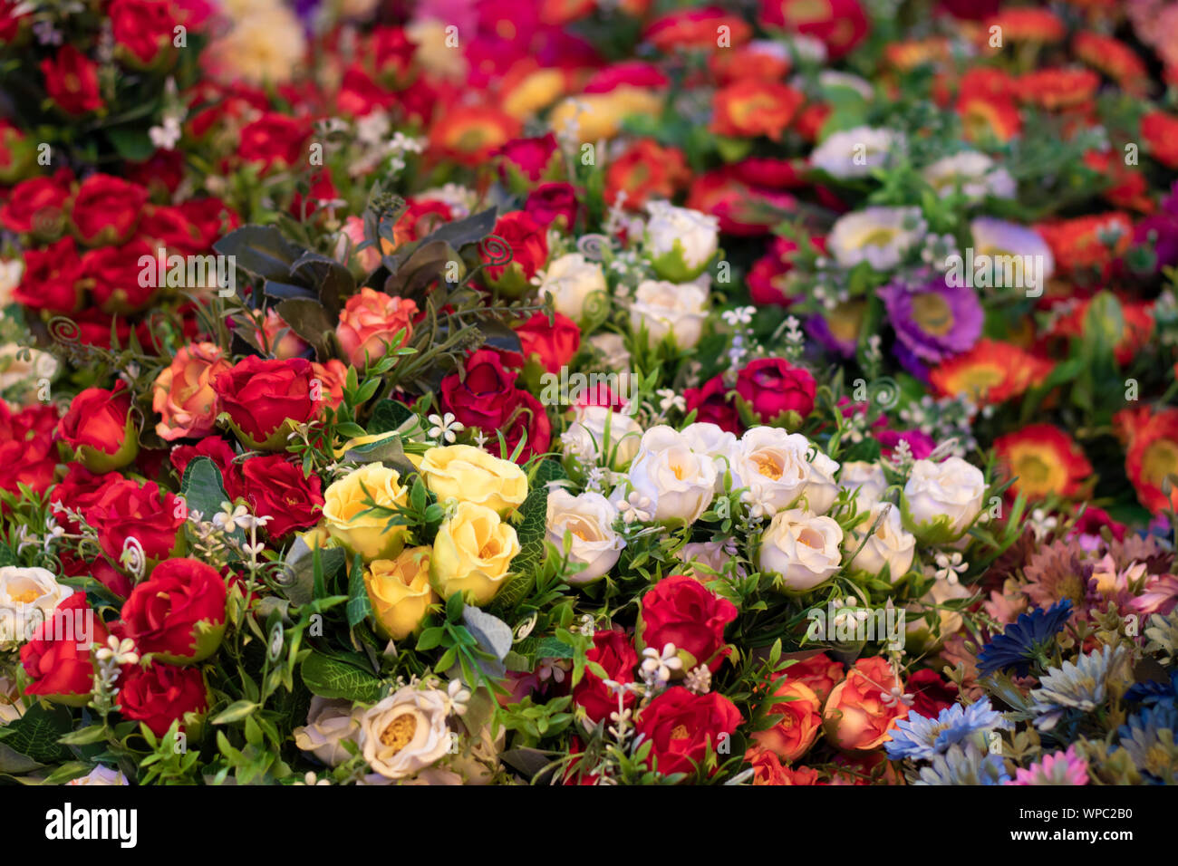 A combination of different types of fake flowers Stock Photo Alamy