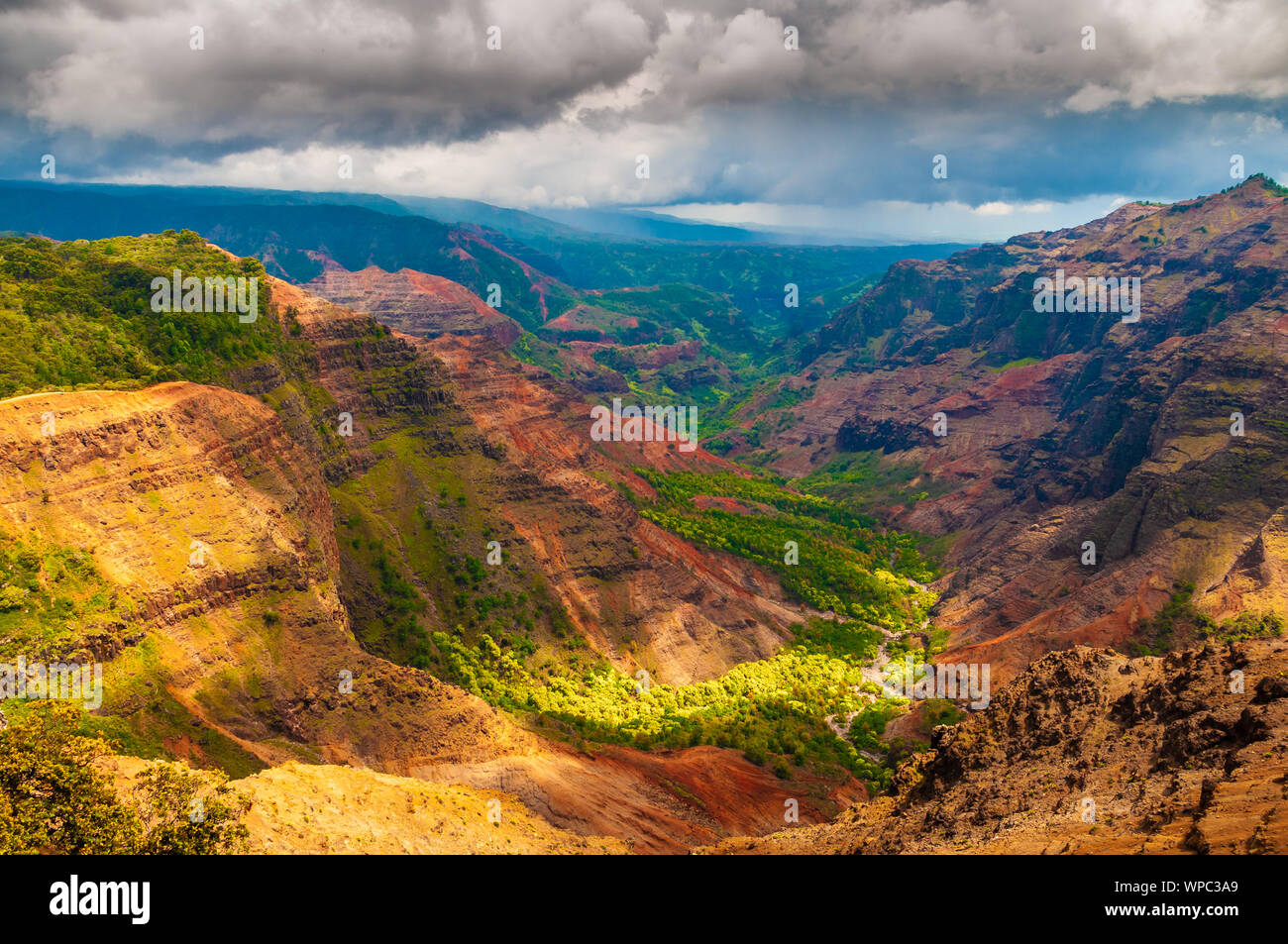 Overlooking Waimea Canyon State Park on the island of Kauai, Hawaii, USA, nicknamed the Grand