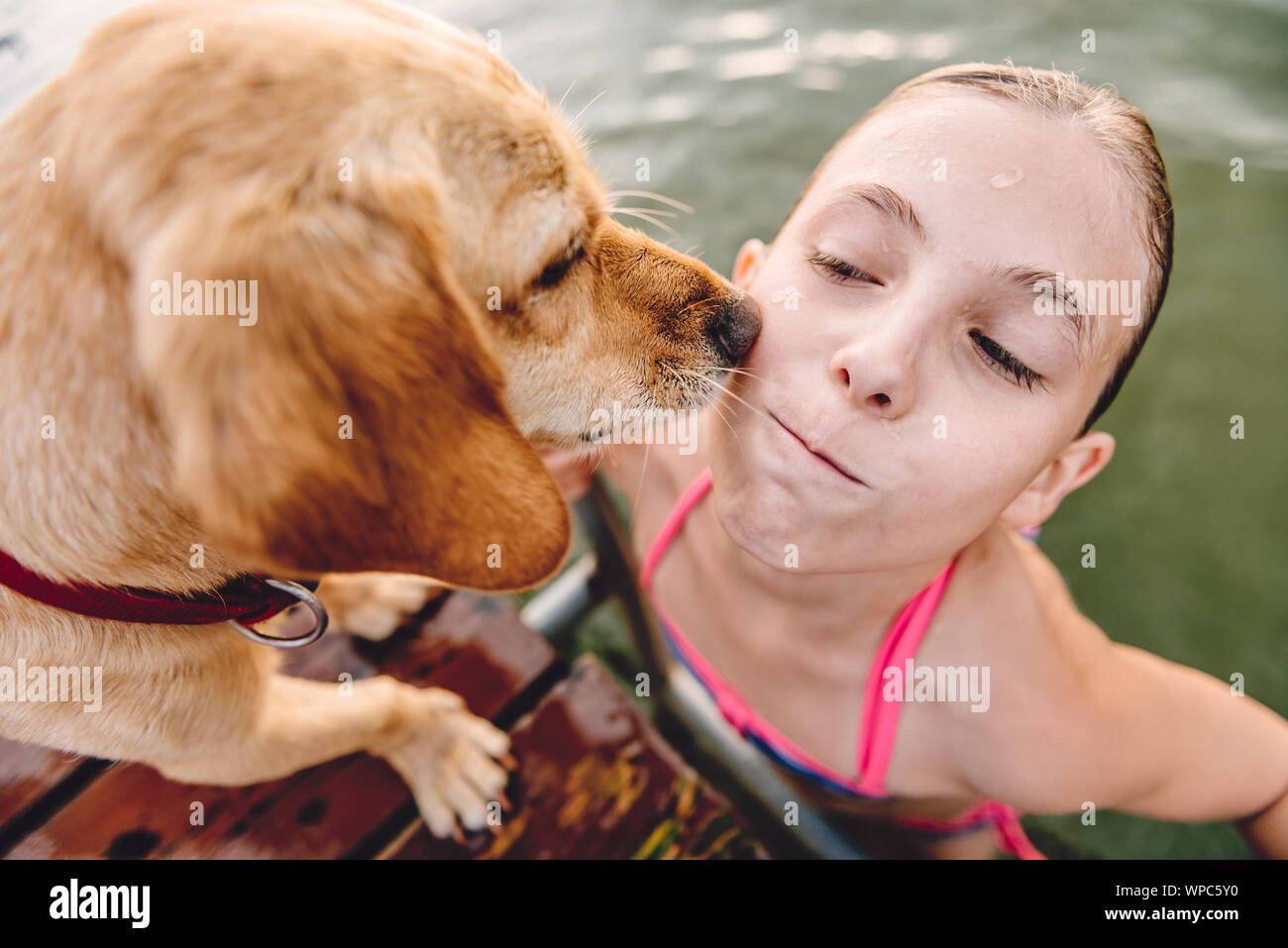 Little girl getting out of water while dog licking her face Stock Photo