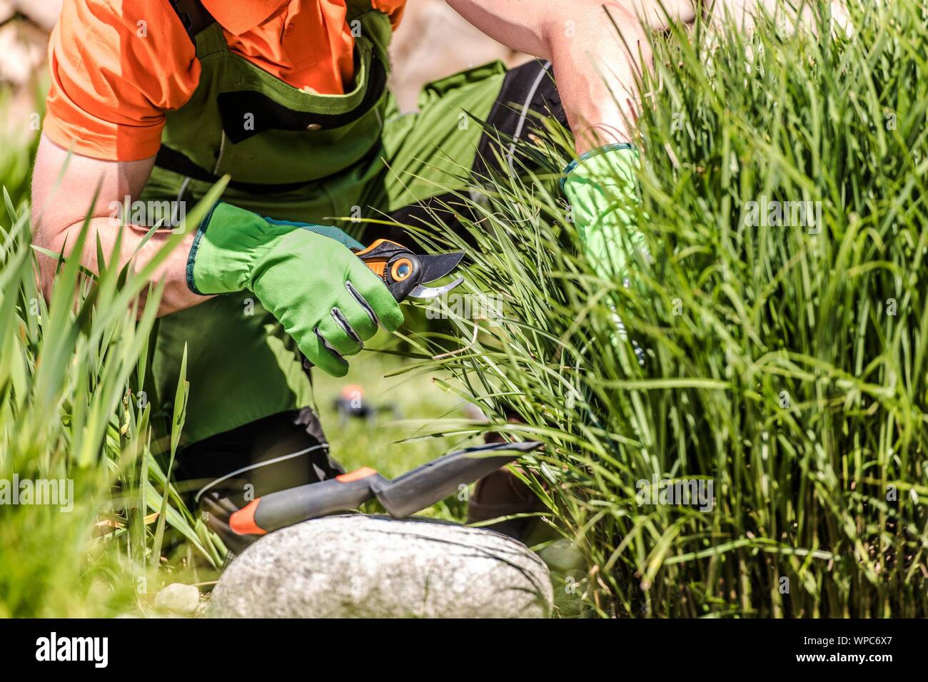 Backyard Garden Maintenance. Caucasian Men with Small Garden Tools Cleaning Plants From Dead