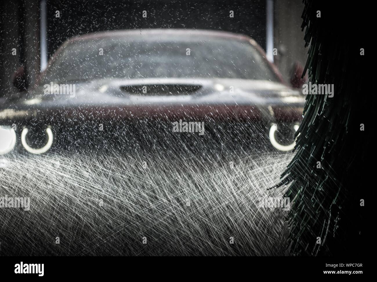 Vehicle in Automatic Car Wash. Washer Brushes and Spraying Water with