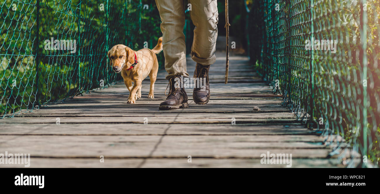 Hiker with small yellow dog walking over wooden suspension bridge in the forest Stock Photo
