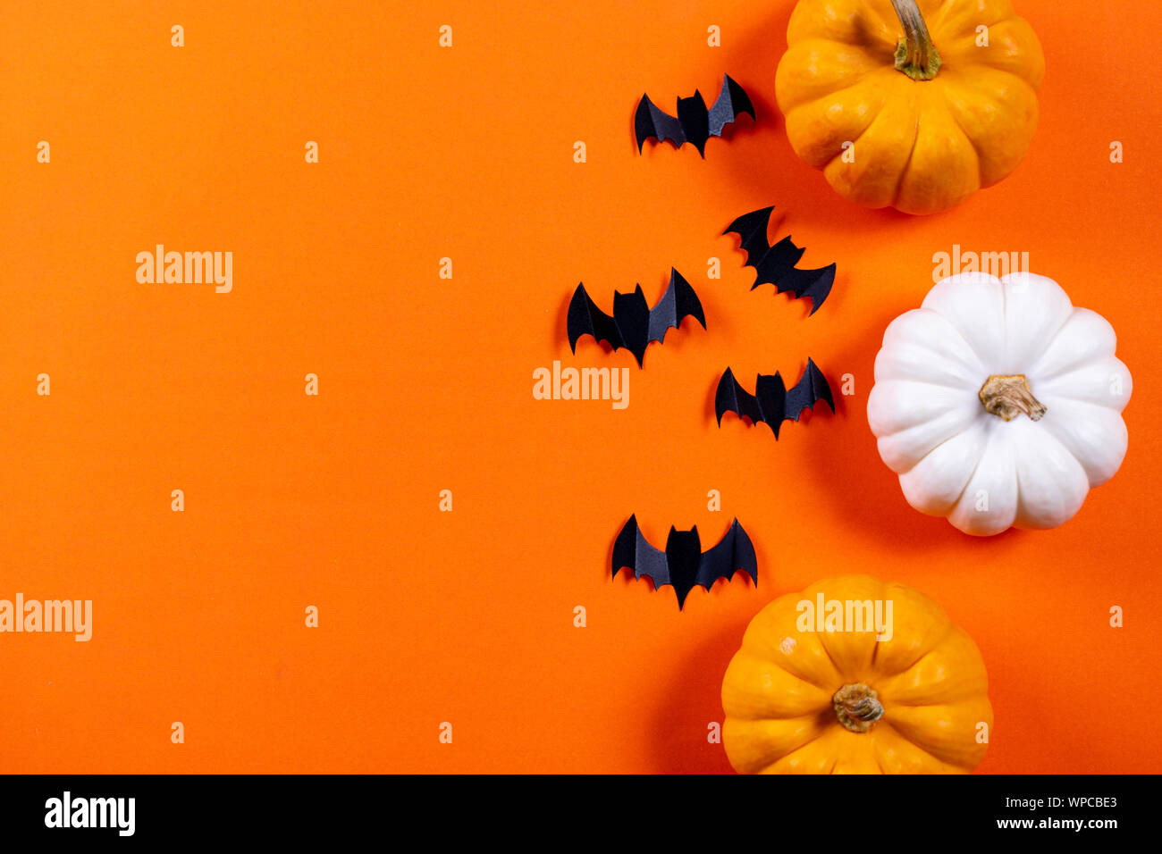 Halloween concept. Flock of black paper bats and fresh pumpkin on ...