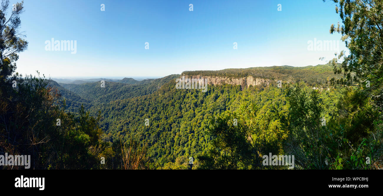Scenic Panoramic view of Springbrook National Park from the Canyon Lookout, World Heritage Area, Gold Coast Hinterland, Queensland, QLD, Australia Stock Photo