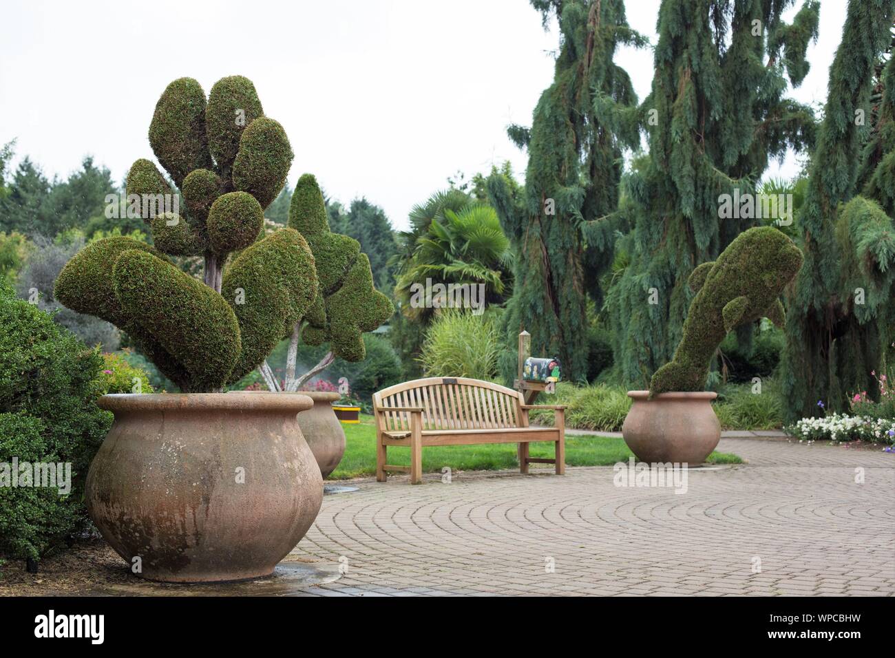 Whimsical shrubs in the Children's Garden at the Oregon Garden in Silverton, OR, USA. Stock Photo