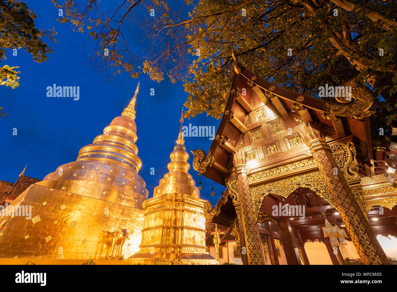 Golden pagoda in blue night sky. Phra Singh temple. Chiang Mai, Thailand. Stock Photo