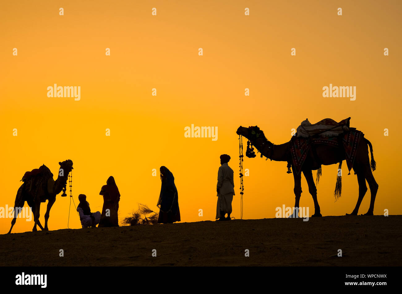 Jaisalmer, rajasthan, india - april 18th, 2018: indian cameleers (camel drivers) with camels silhouettes in dunes of Thar desert on sunset. Stock Photo