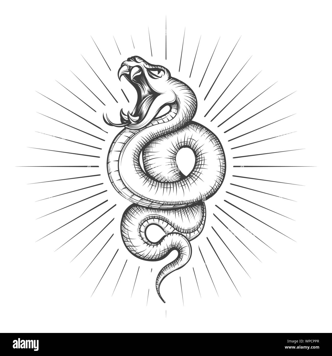 Rattlesnake snake tattoo vector illustration. Hand drawing venomous viper  snakes symbol, black serpent tattooing design sketch isolated on white  backg Stock Vector Image & Art - Alamy
