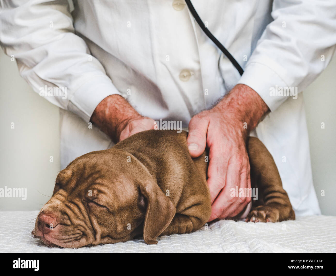 Doctor sleeping up close hi-res stock photography and images - Alamy