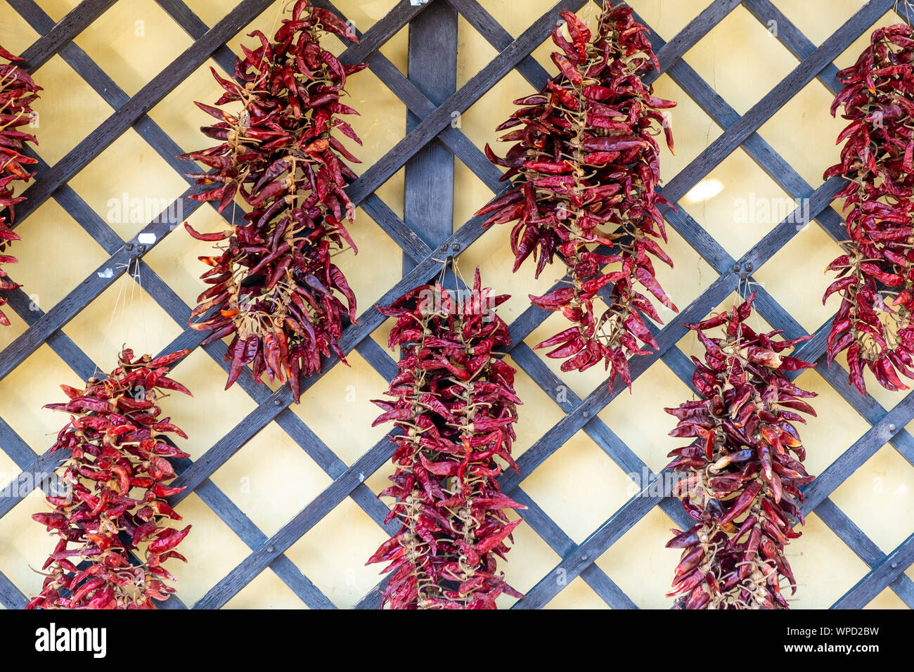 Red hot chilly pepper drying on wire Stock Photo