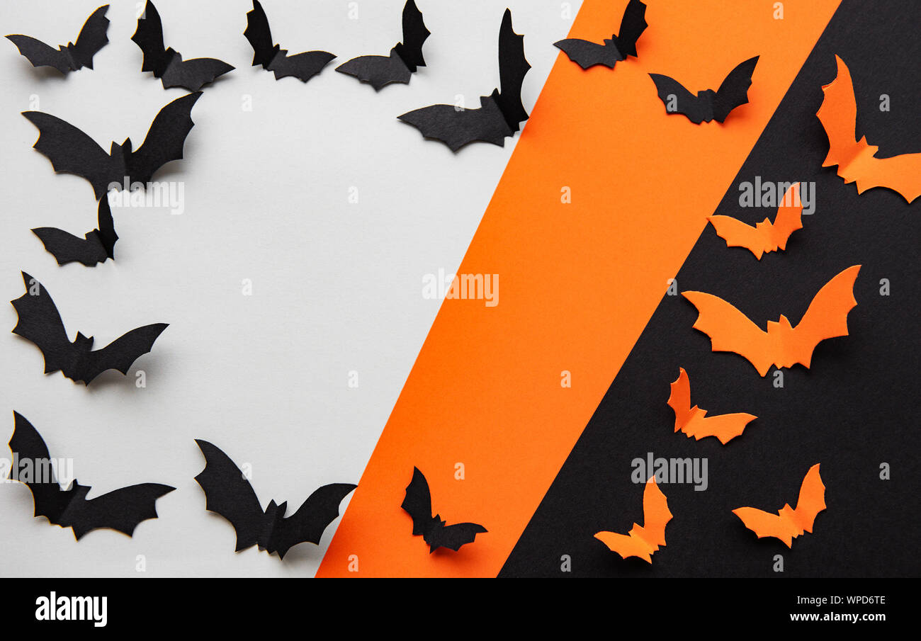 halloween  concept - black and orange paper bats flying over black and orange background Stock Photo
