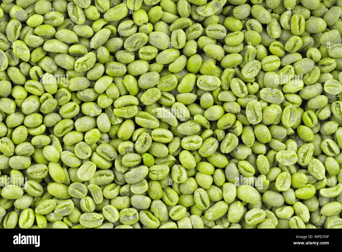 Green coffee beans background. Medium green peaberry coffee beans Stock Photo Alamy