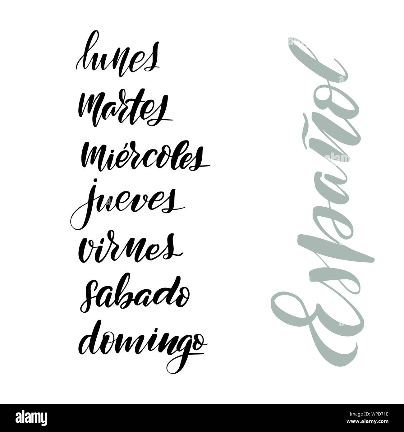 text in Spanish: Happy Wednesday. Lettering. calligraphy vector  illustration. Feliz Miercoles Stock Vector