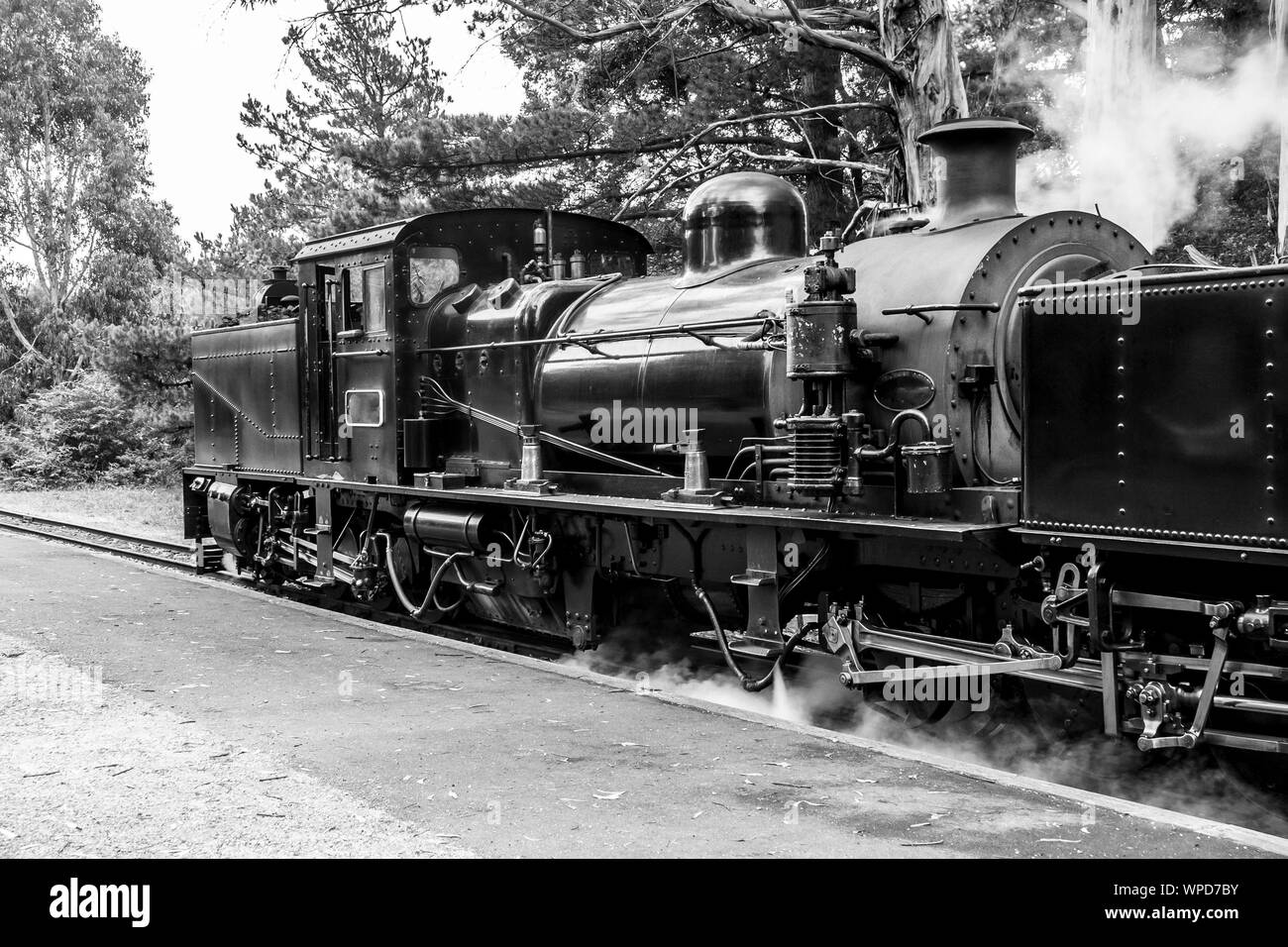 Melbourne, Australia - January 7, 2009: Puffing Billy steam train. Historical narrow railway in the Dandenong Ranges near Melbourne. Stock Photo