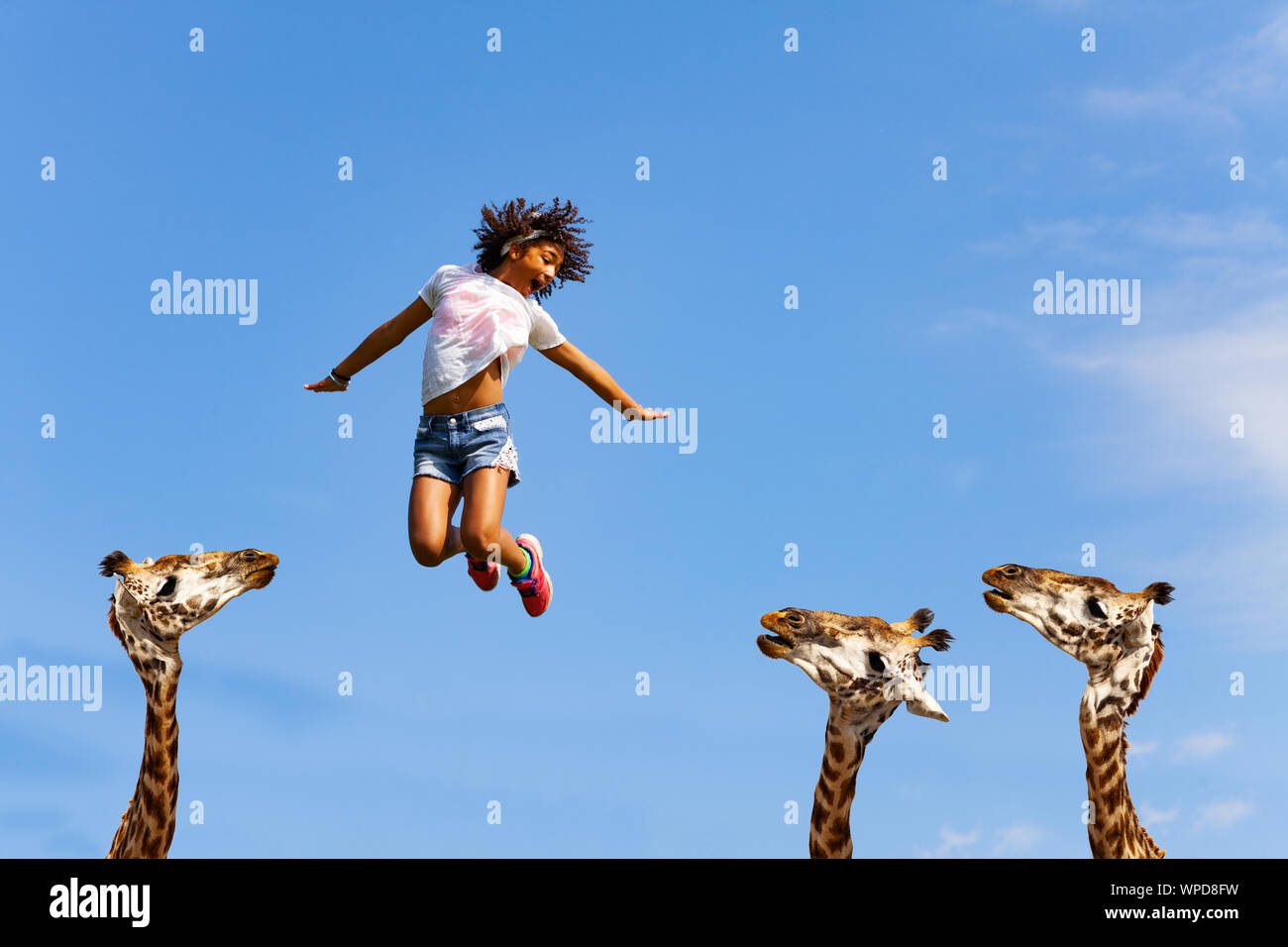 Beautiful girl jump over heads of cute giraffes Stock Photo
