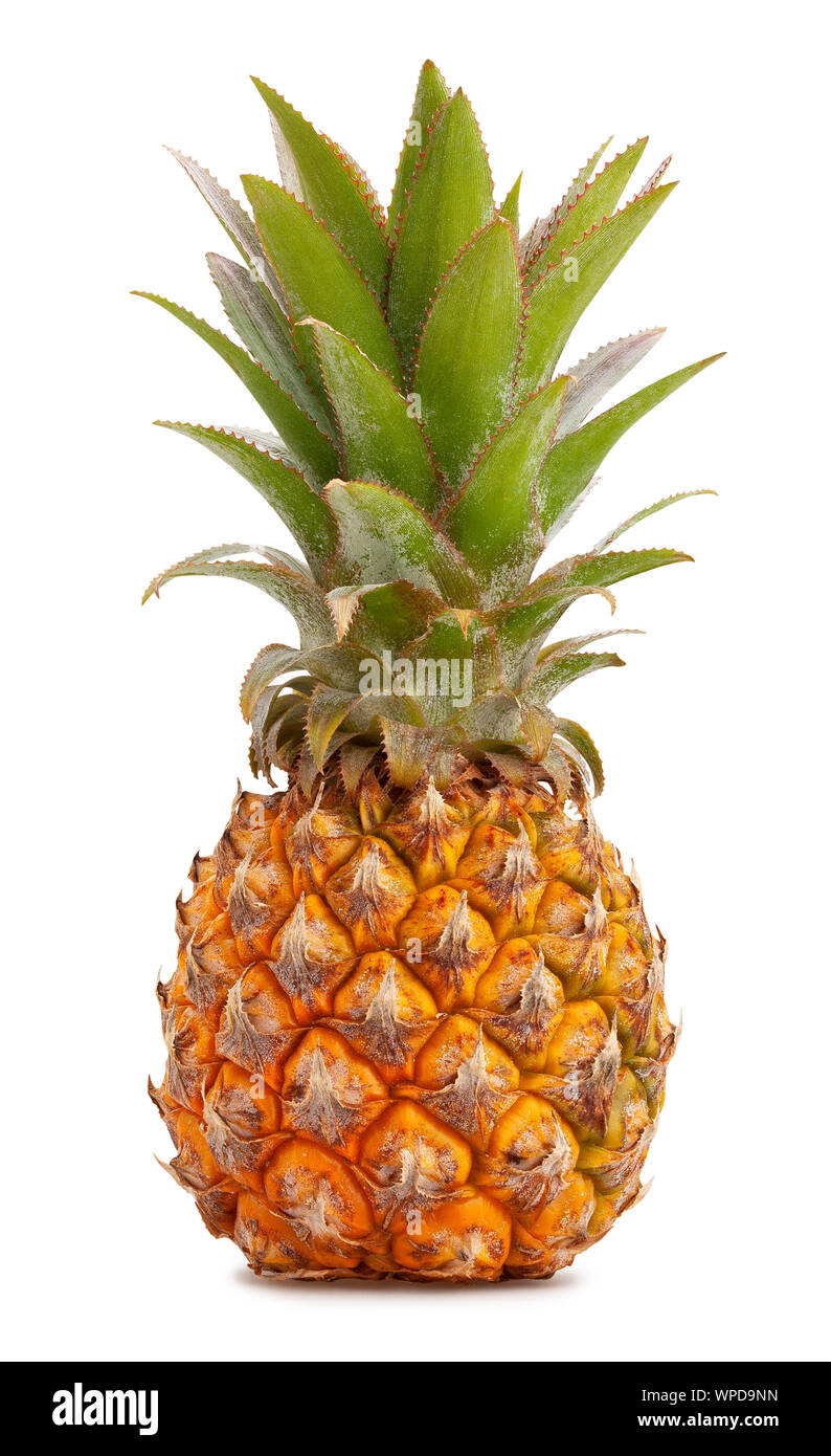 mini pineapple path isolated on white Stock Photo