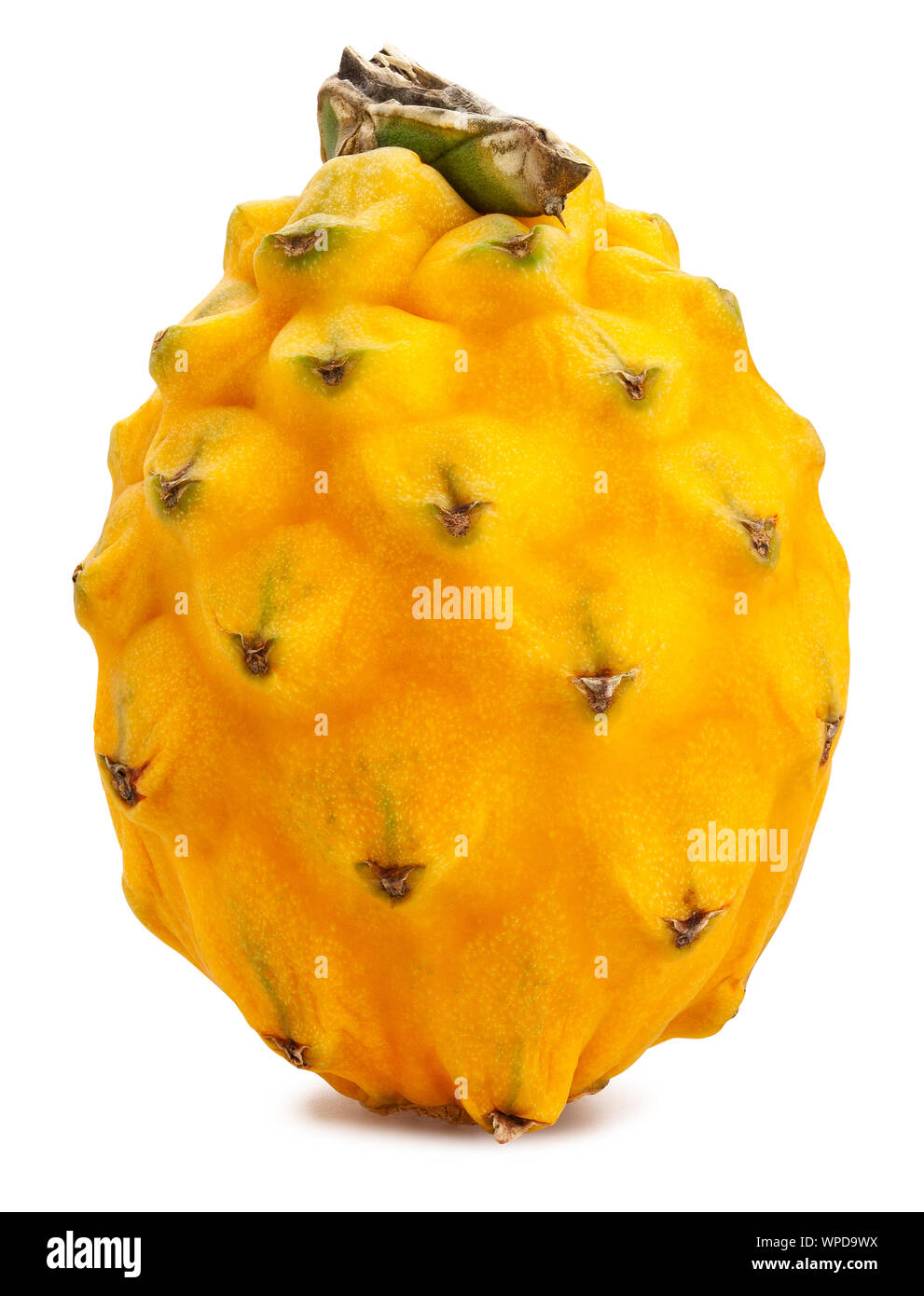 yellow dragonfruit pitahaya path isolated on white Stock Photo