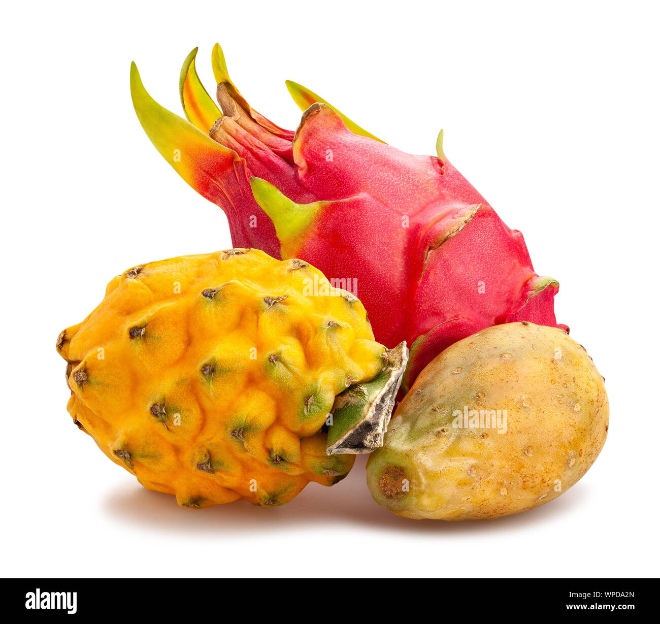edible cactuses mix path isolated on white Stock Photo