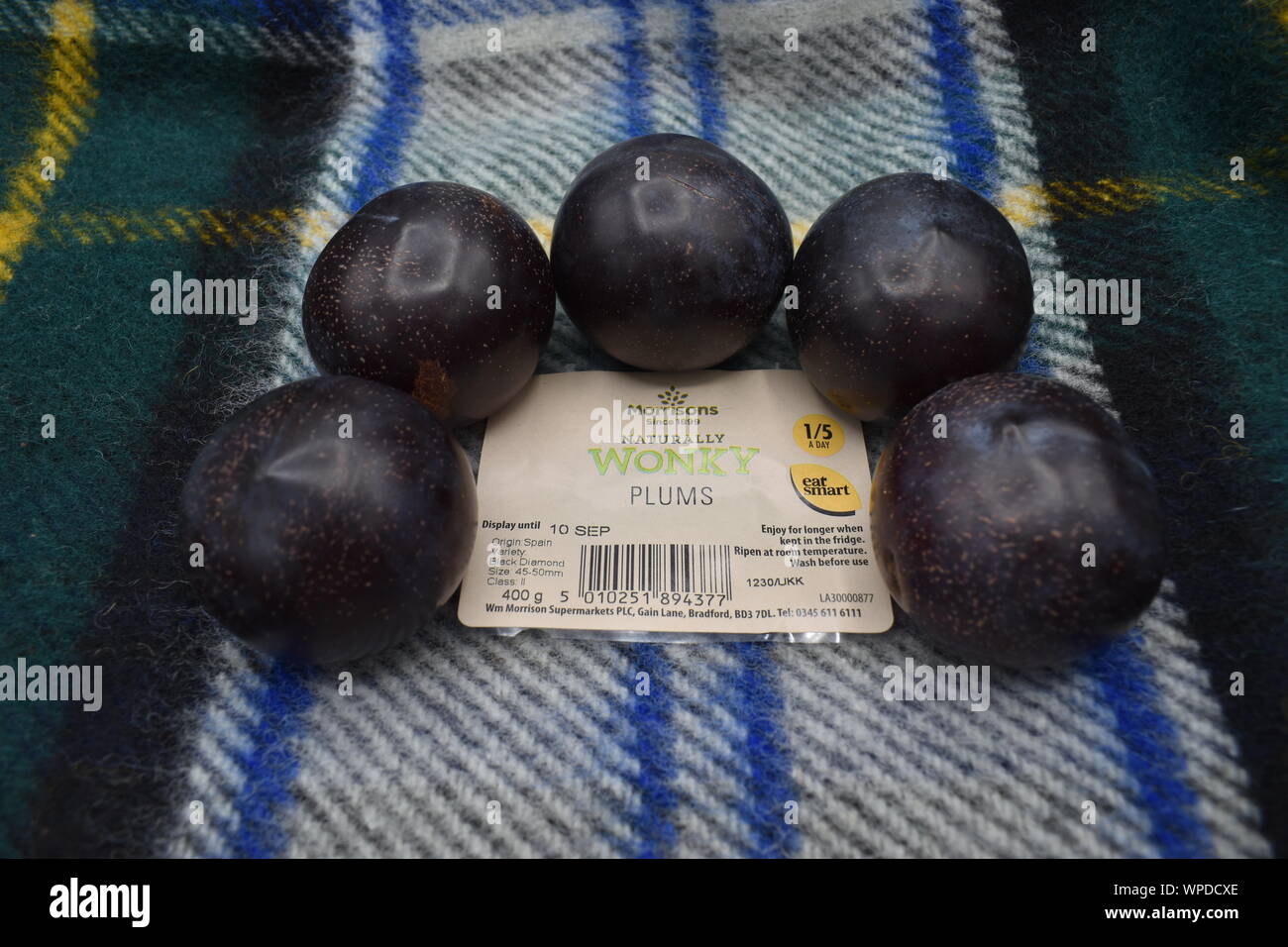 Naturally wonky plums from Morrisons supermarket.  Selling plums which would normally be considered unsuitable for sale cuts food waste. Stock Photo
