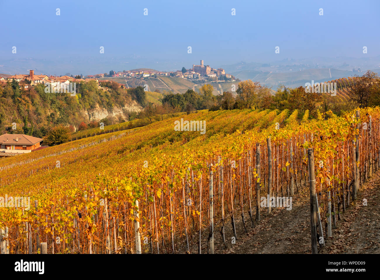 Beautiful autumnal vineyards on the hills in Piedmont, Northern Italy. Stock Photo