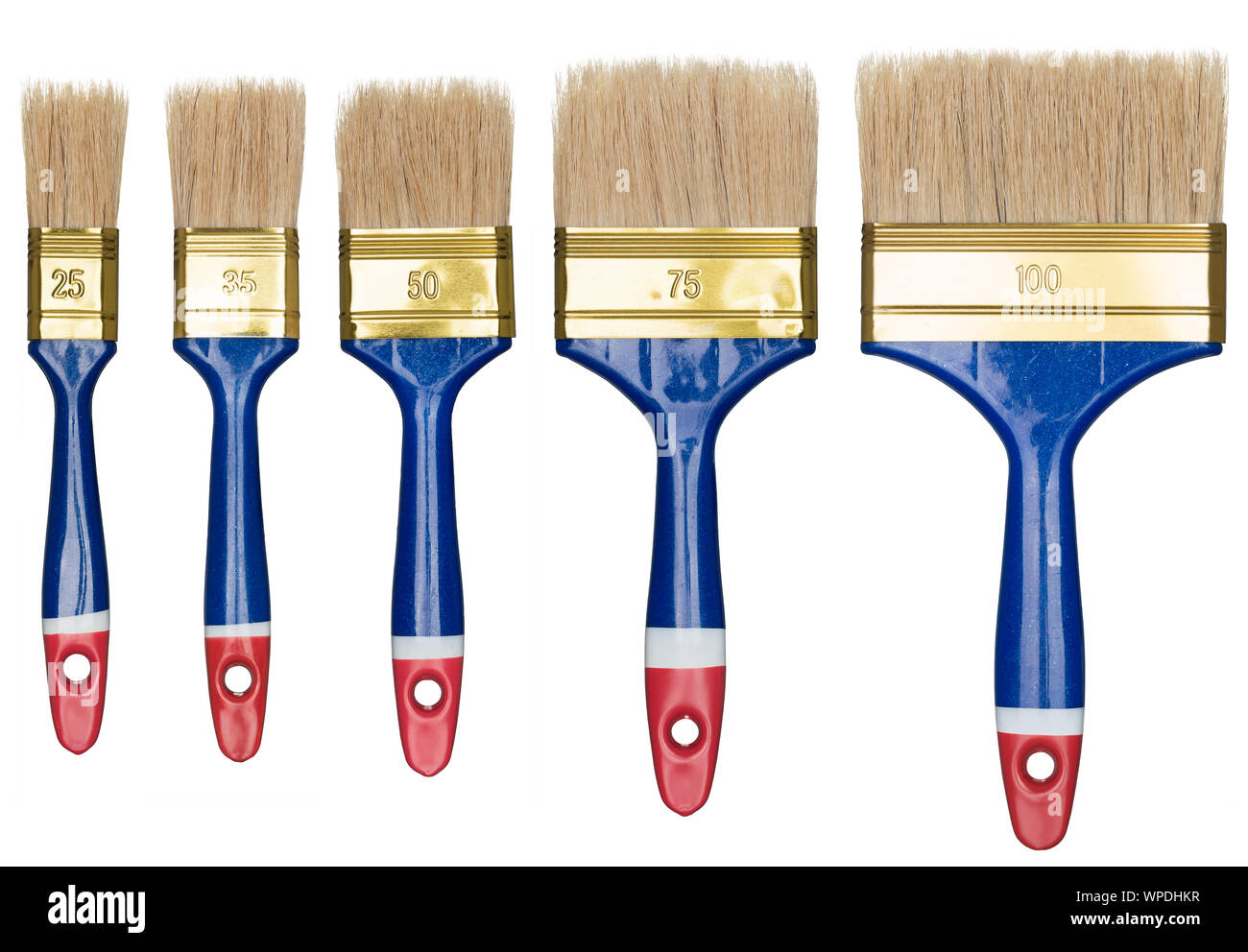 Paint brushes isolated on white Stock Photo