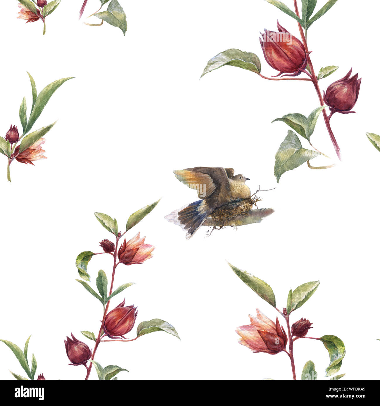 Watercolor painting with birds and flowers, seamless pattern on white ...