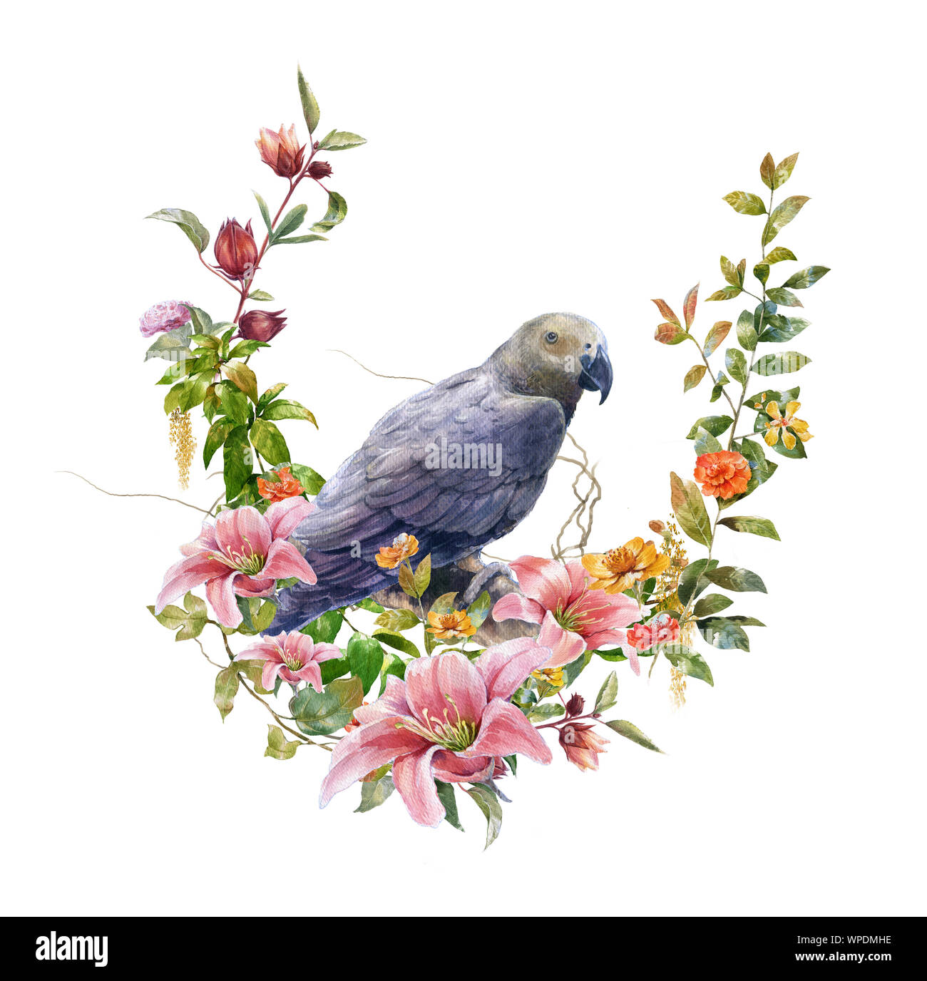 watercolor painting with bird and flowers, on white background Stock ...