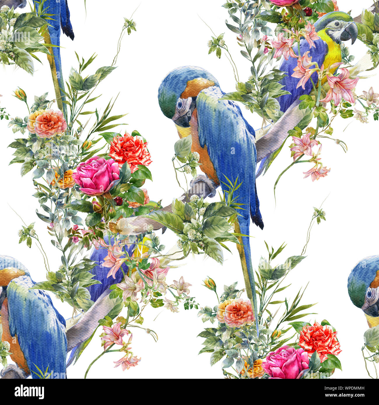 Watercolor painting with birds and flowers, seamless pattern on white ...