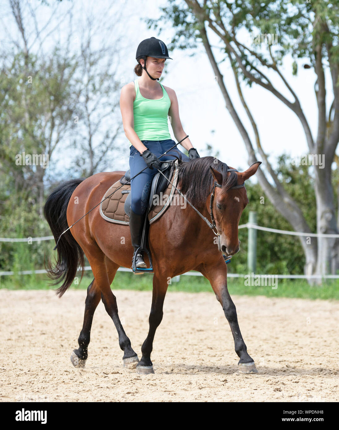 riding girl are training her young horse Stock Photo Alamy