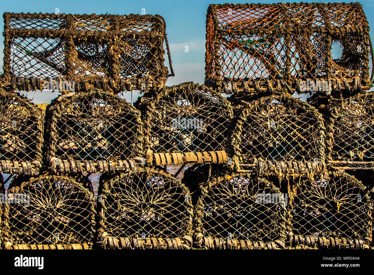 Lobster pot Warkworth harbour Amble Stock Photo Alamy