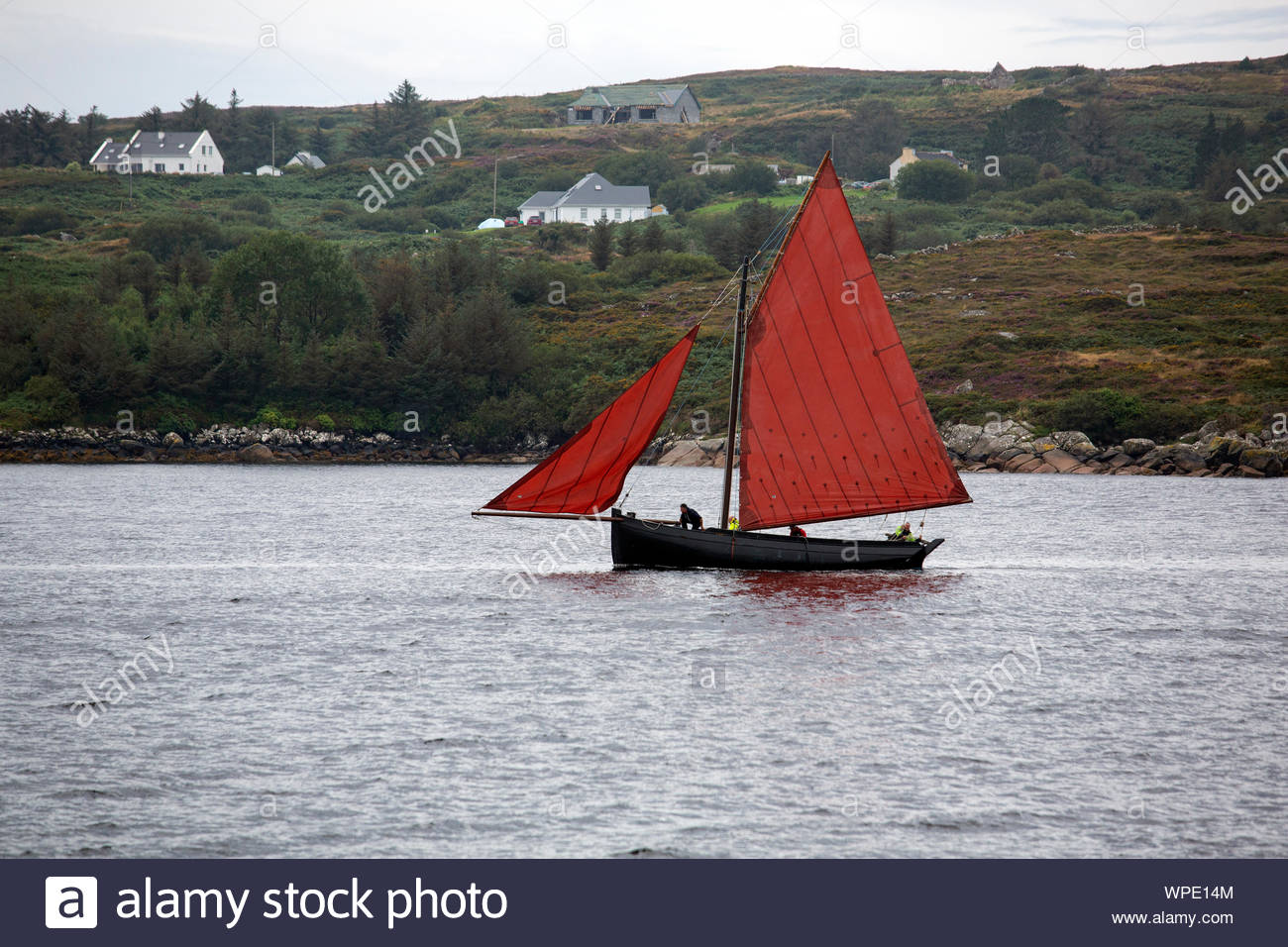 A Galway Hooker sails in shallow waters near the Connemara coast Stock Photo