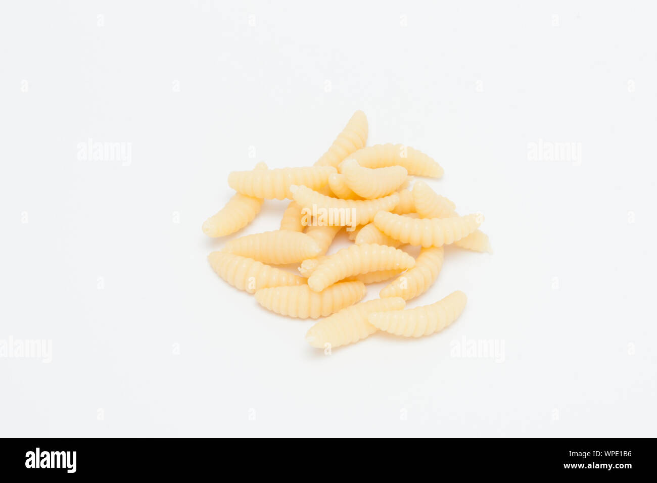 Artificial fishing larvae of insects on white background with soft shadow Stock Photo