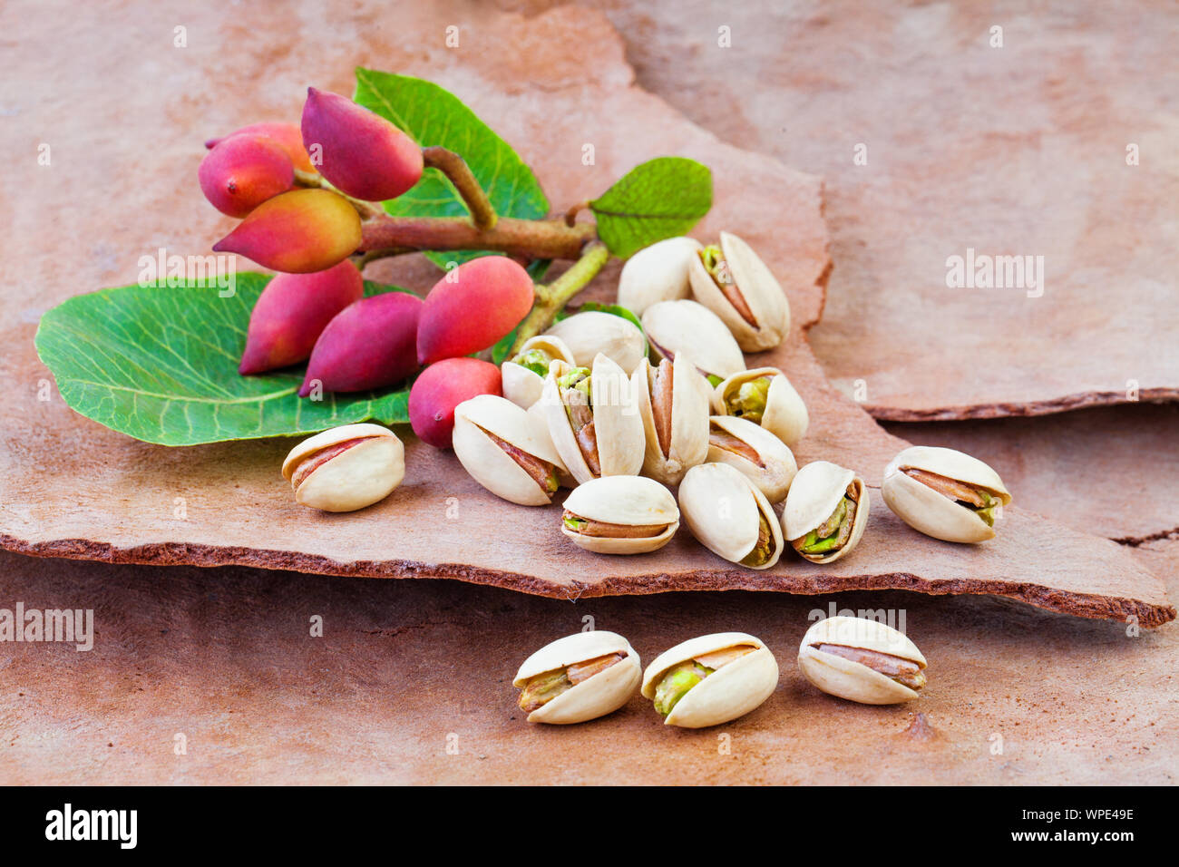 Pistachio nut tree hires stock photography and images Alamy