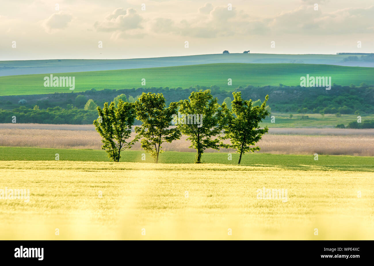 Free State Rural Areas To be free in rural area Stock Photo - Alamy
