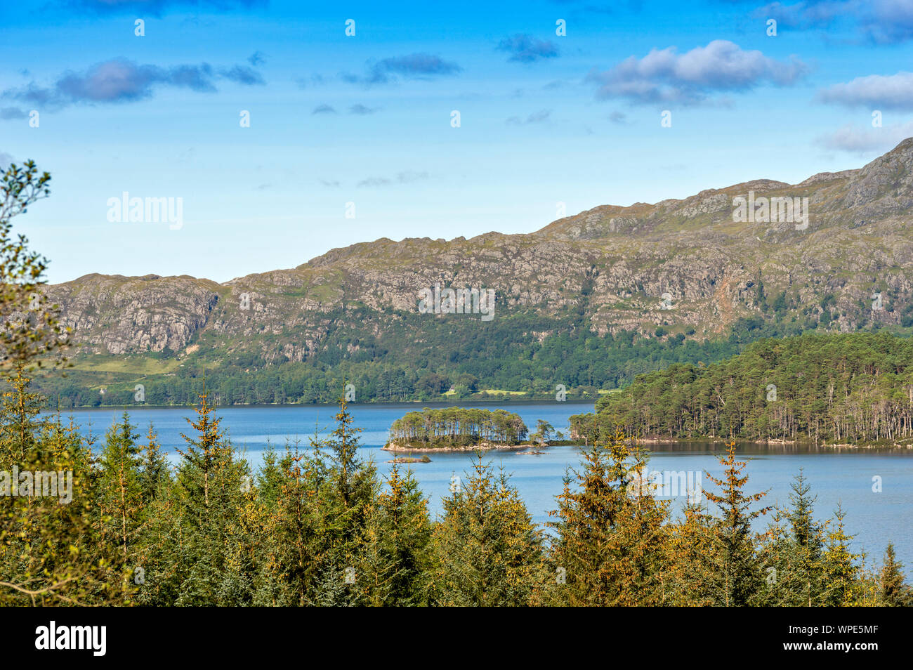 LOCH MAREE WESTER ROSS HIGHLANDS SCOTLAND VIEW OF THE ISLANDS AND SCOTS PINE TREES IN LATE SUMMER Stock Photo
