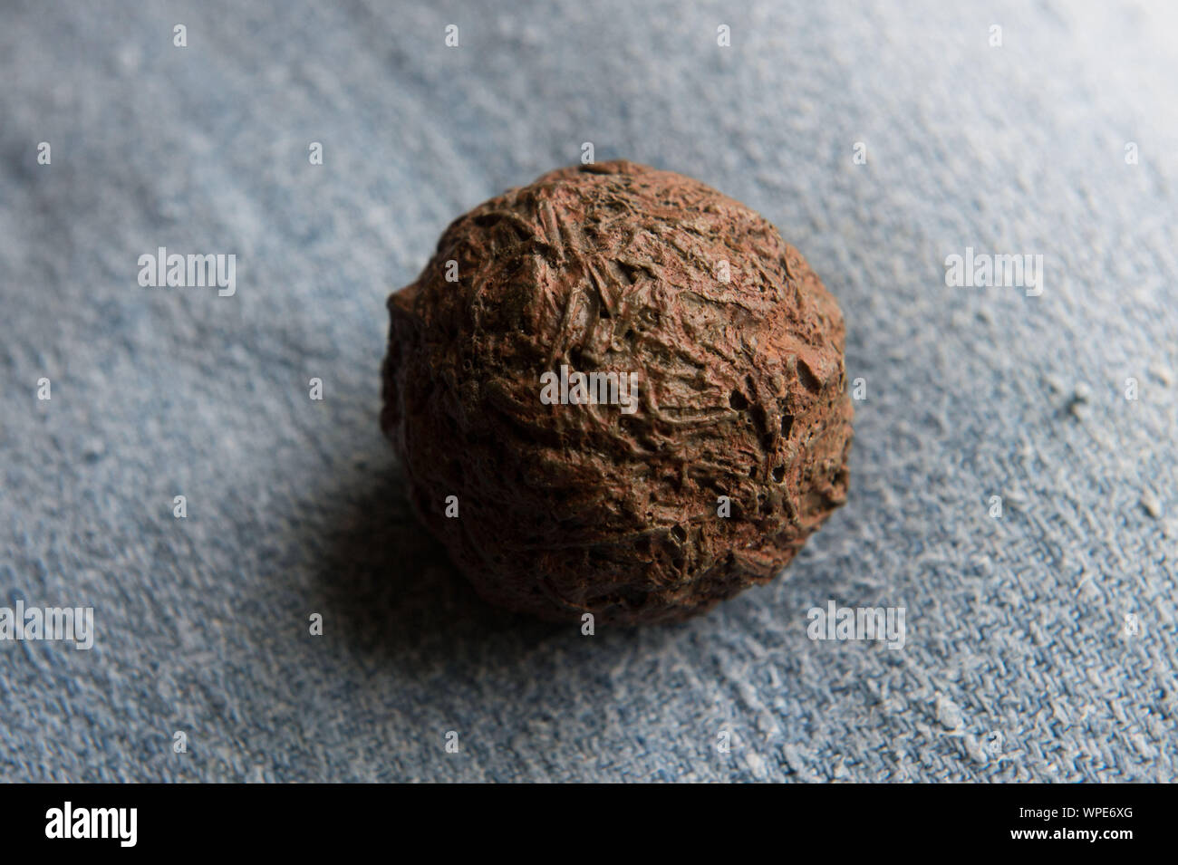 “Cocagne” ball, ball obtained from crushed pastel leaves, to obtain the blue dye. Stock Photo