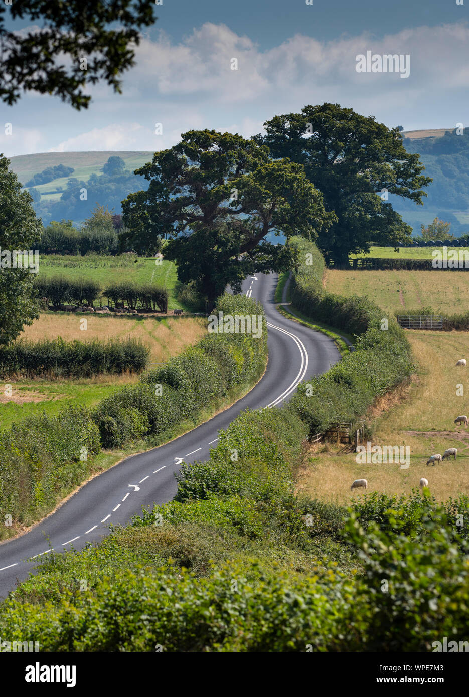 A country road in Powys, Wales, UK Stock Photo