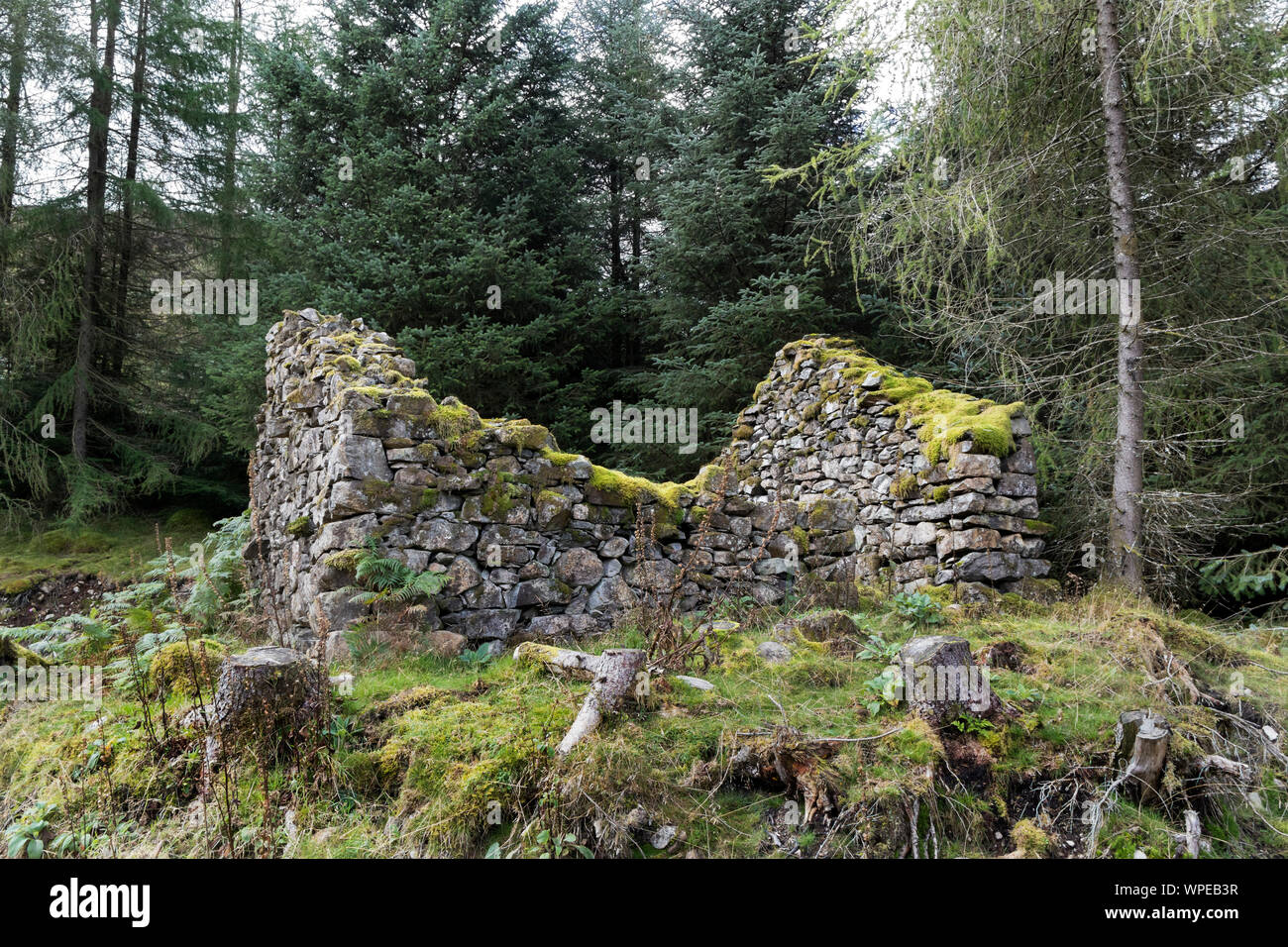 Ruined Building near Fisher Crag, Thirlmere, Lake District, Cumbria, UK Stock Photo
