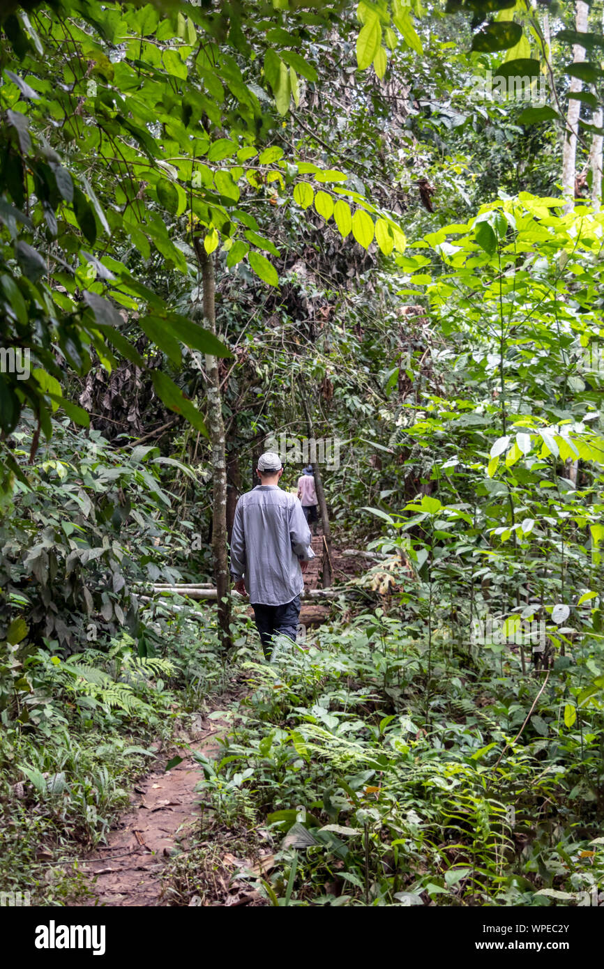 Amazon Jungle Explorer High Resolution Stock Photography and Images - Alamy