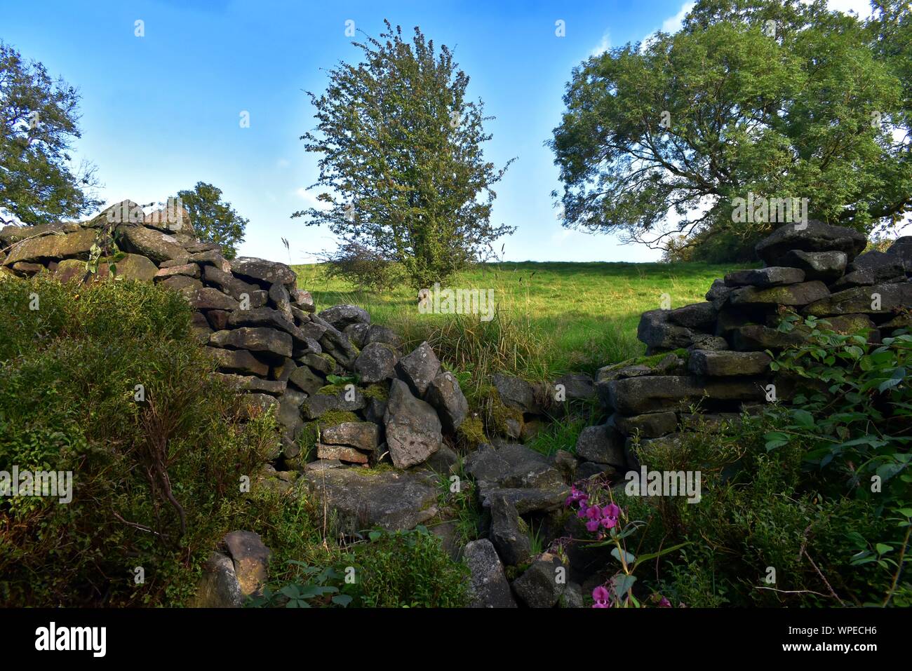 Fallen drystone wall and fields. Stock Photo