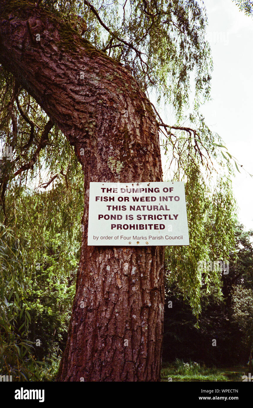 Swelling Hill pond, Four marks, Hampshire, England, United Kingdom